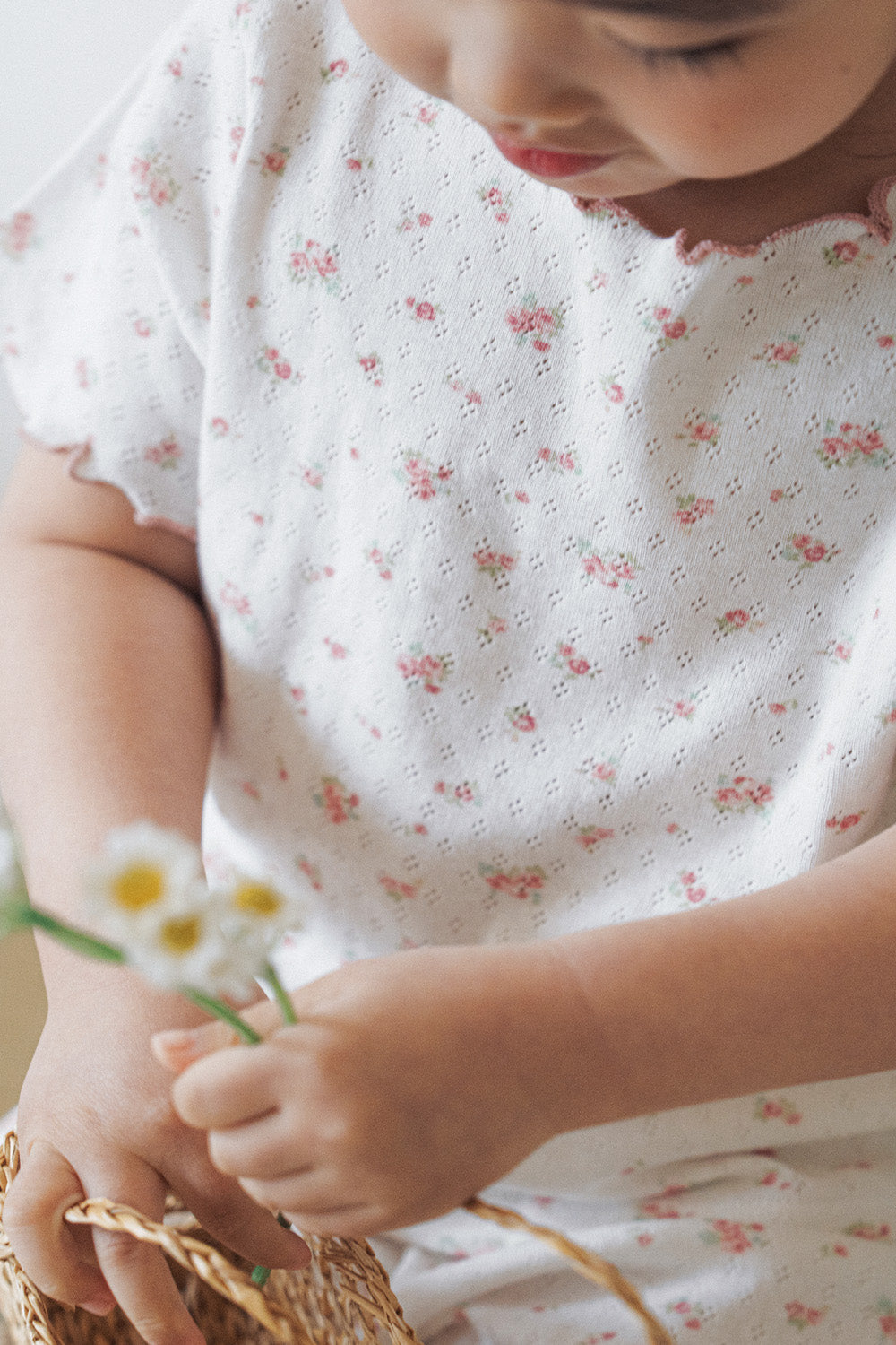 Avauma baby summer pajama set dreamy flower short sleeve setup rosy cream comfortable toddler outfit